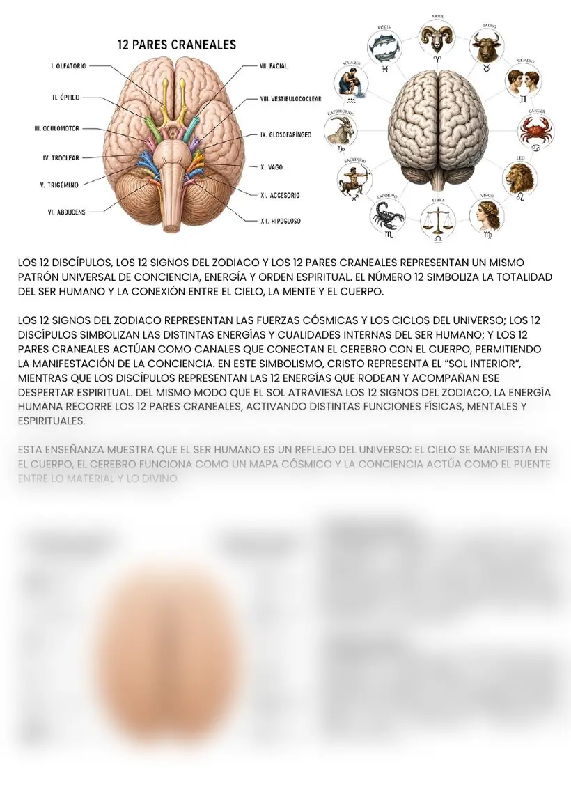 Página 8: el patrón del 12